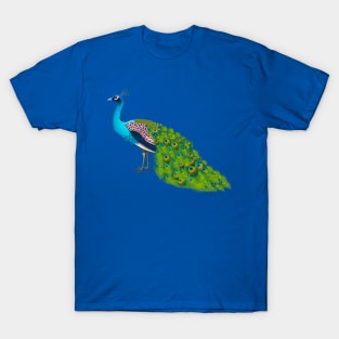 Teal Peacock Graphic T-Shirt